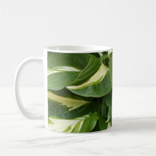 Taza De Café Hosta Leaves