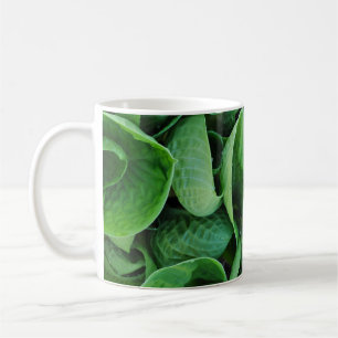Taza De Café Hosta verde