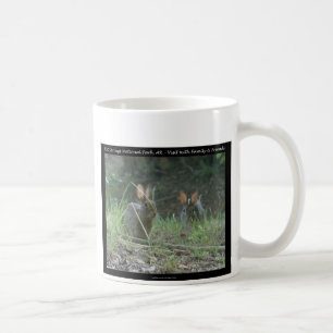 Taza De Café Hot Springs National Park, AR  Regalos de Conejos 