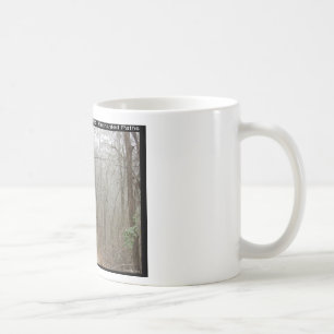 Taza De Café Hot Springs National Park, AR - Senderos Encantado