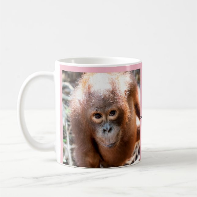 Taza De Café Huérfano Kobe del orangután del bebé con OFI (Izquierda)
