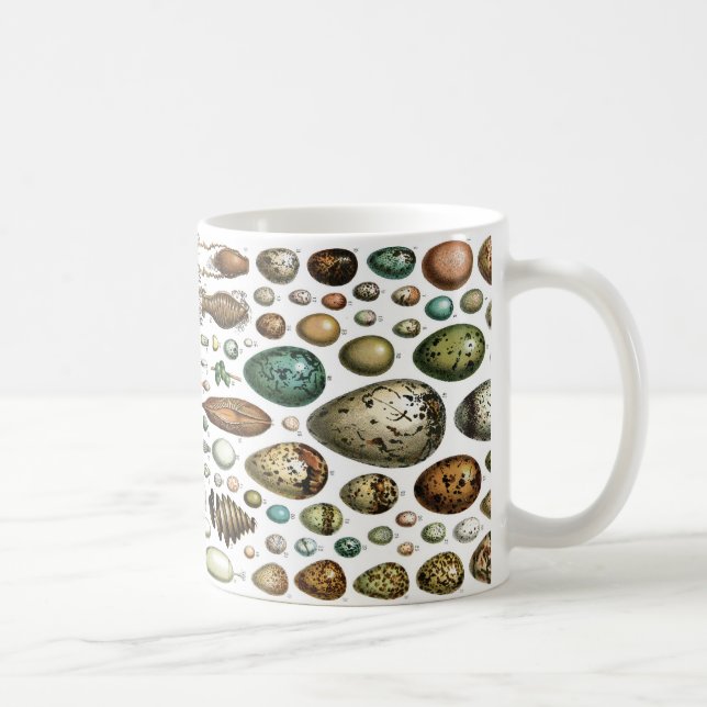 Taza De Café ¿Huevos para el desayuno? (Derecha)