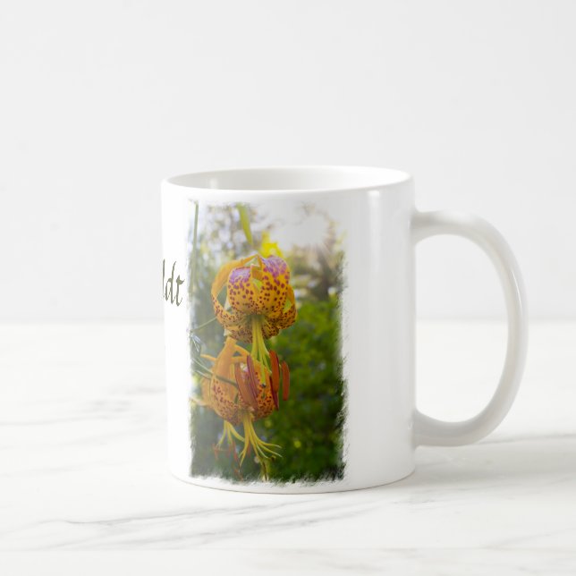 Taza De Café Humboldt Lilies Sunburst on White (Derecha)