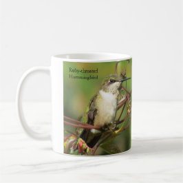 Taza De Café Hummingbird