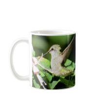 Hummingbird Coffee Mug by BirdingCollectibles