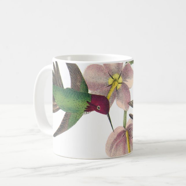 Taza De Café Hummingbird de Anna por Audubon (Anverso izquierdo)