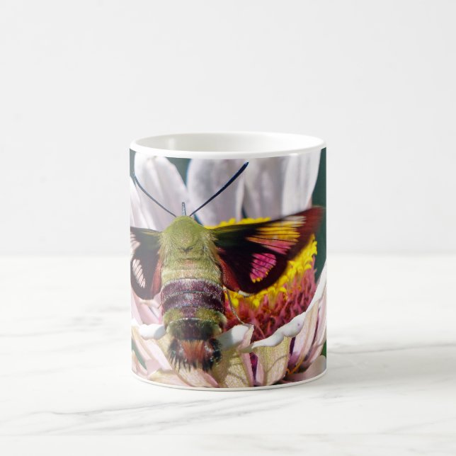 Taza De Café Hummingbird Moth (Centro)