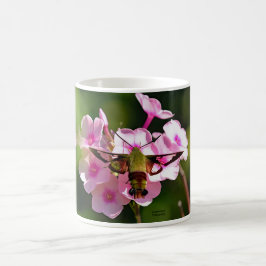 Taza De Café Hummingbird Moth