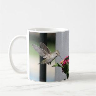 Taza De Café Hummingbird, Mug