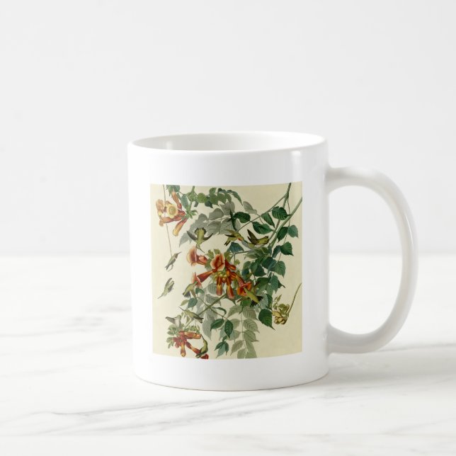 Taza De Café Hummingbird Ruby Throated Audubon (Derecha)