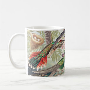 Taza De Café Hummingbird, Trochilidae Kolibris por Ernst Haecke