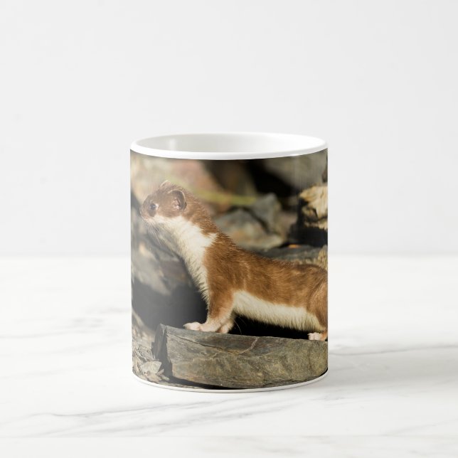 Taza De Café Hunting Weasel (Centro)