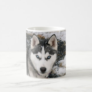 Taza De Café Husky dog