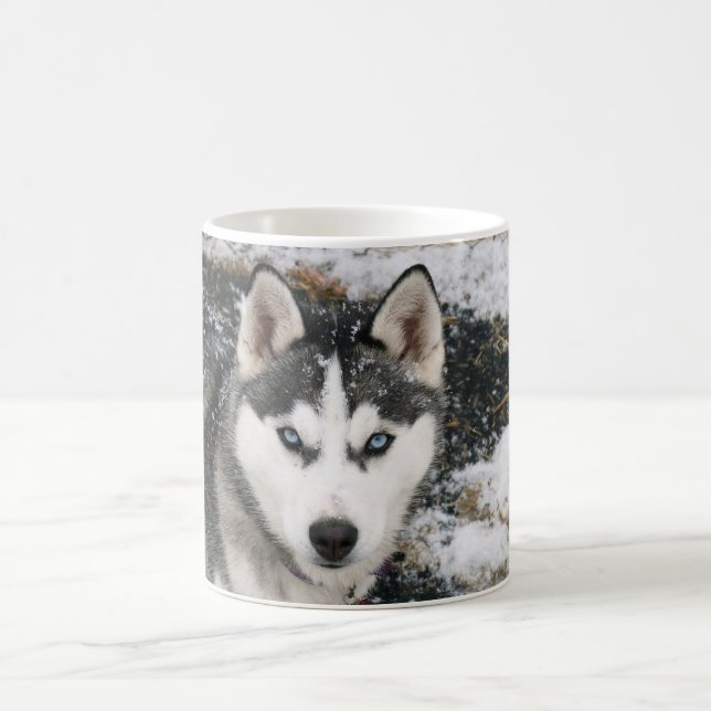 Taza De Café Husky dog (Centro)