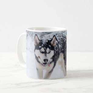 Taza De Café Husky en la nieve