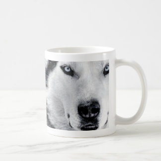 Taza De Café huskys