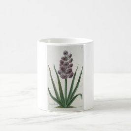 Taza De Café Hyacinth Flower (por Johann Michael Seligmann)