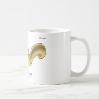 Taza De Café ICD-10: W53.21 mordido por la ardilla
