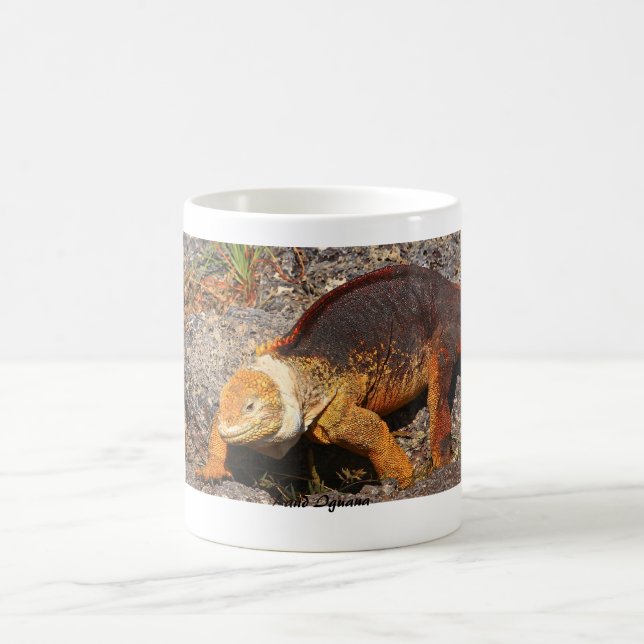 Taza De Café Iguana de la tierra de las Islas Galápagos (Centro)