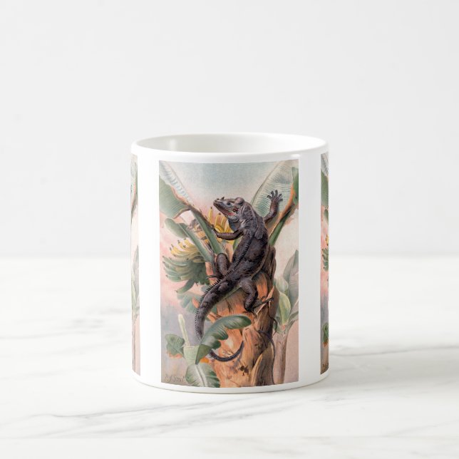 Taza De Café Iguana Negra Tropical, Animal Reptil Salvaje Vinta (Centro)