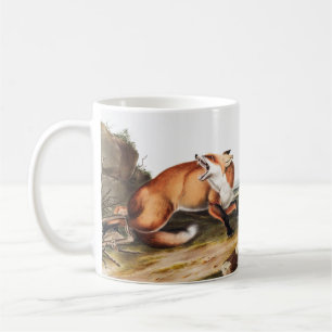 Taza De Café Ilustracion americano de Fox Roja (Vulpes Fulvus)