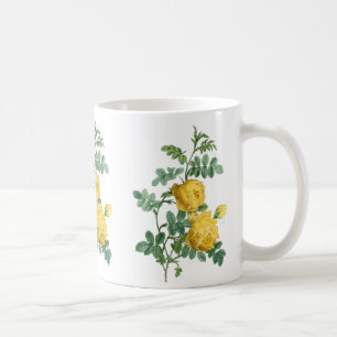 Taza De Café Ilustracion botánico del vintage del rosa amarill
