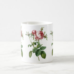 Taza De Café ilustracion botánico rosa rosa rosa rosa pintado,