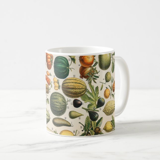 Taza De Café Ilustracion científico botánico de frutas (Anverso derecho)