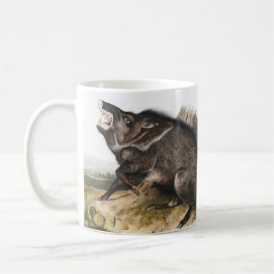 Taza De Café Ilustracion Collared Peccary Dycoteles torquatus