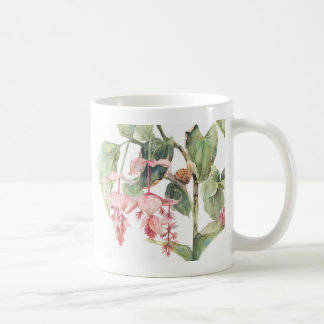 Taza De Café Ilustracion de arte botánico Medinilla