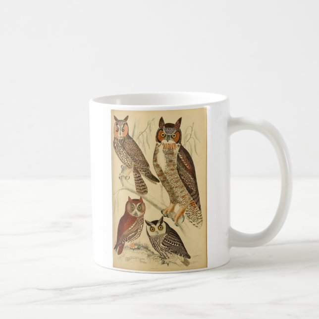 Taza De Café Ilustracion de cuatro búhos (Derecha)