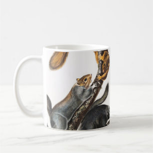 Taza De Café Ilustracion de la ardilla del gato (Sciurus cinere