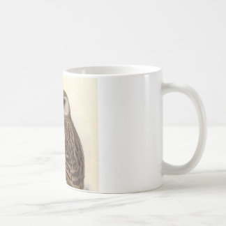 Taza De Café Ilustracion del vintage del búho de risa