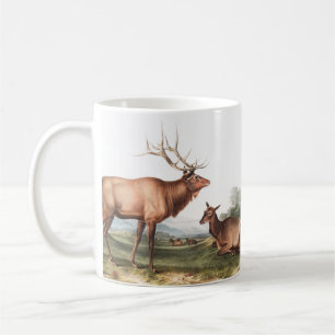 Taza De Café Ilustracion Estadounidense de Elk (Cervus Canadens