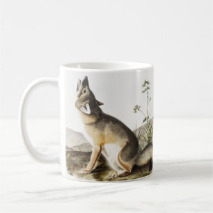 Taza De Café Ilustracion Swift Fox (Vulpes velox)