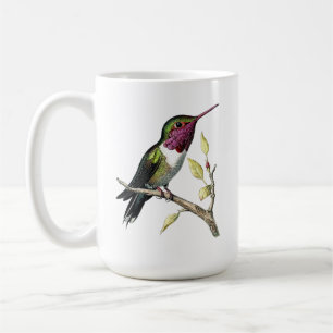 Taza De Café Ilustración Vintage de Colibrí de Anna