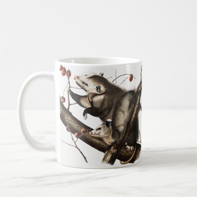 Taza De Café Ilustracion Virginia Opossum Didelphis Virginia (Izquierda)