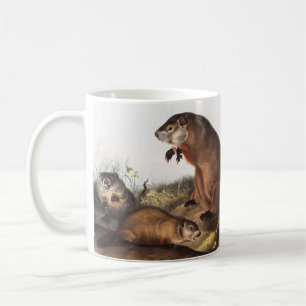 Taza De Café Ilustracion Woodchuck (Arctomys monax)