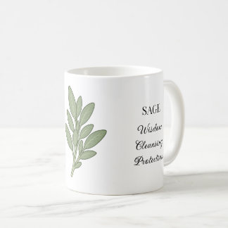 Taza De Café Ilustración y usos de la hierba de salvia
