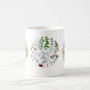 Taza De Café Ilustraciones botánicos - plantas de Larousse