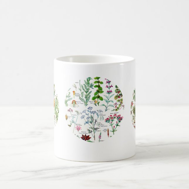 Taza De Café Ilustraciones botánicos - plantas de Larousse (Centro)