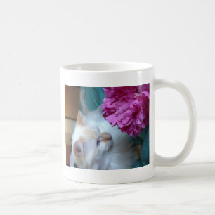 Taza De Café image.jpg