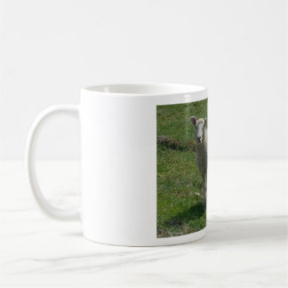 Taza De Café Imagen de cordero