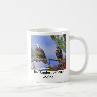 Taza De Café IMG_0411cn, Eagles calvo, Sebago Maine