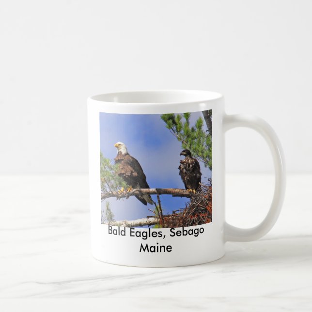 Taza De Café IMG_0411cn, Eagles calvo, Sebago Maine (Derecha)