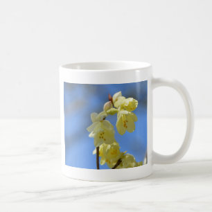 Taza De Café Impaciencia