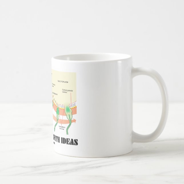 Taza De Café Impregnado con las ideas (fertilización del huevo (Derecha)