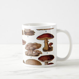Taza De Café Impresión botánica de la familia de champiñones