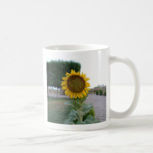 Taza De Café Impresión de arte de girasol
