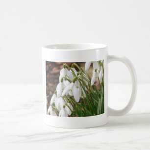 Taza De Café Impresionantes Snowdrop